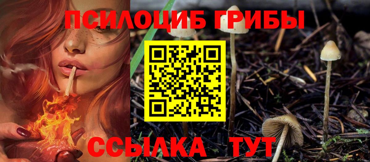 Энгельс  Псилоцибиновые грибы GOLDEN TEACHER  купить наркоту  Вход с VPN 